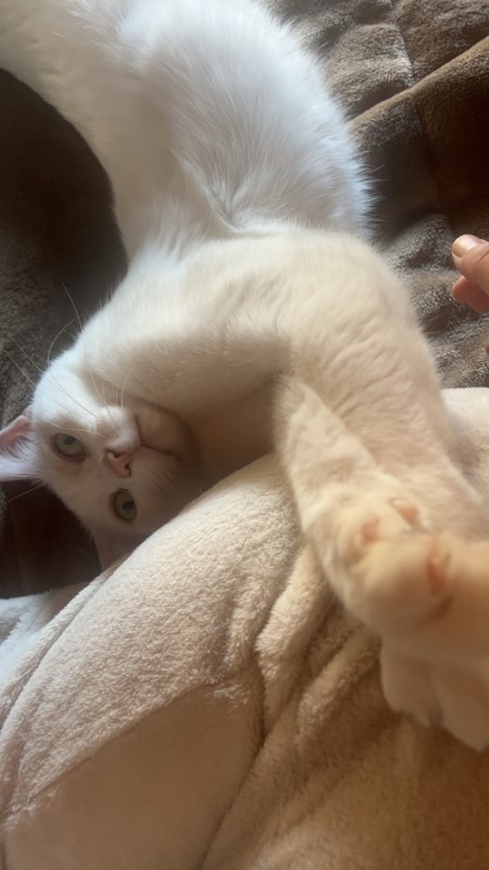 きーすけの日常1