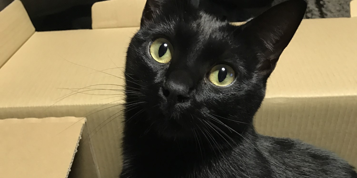 ノーチカの美しい瞬間1