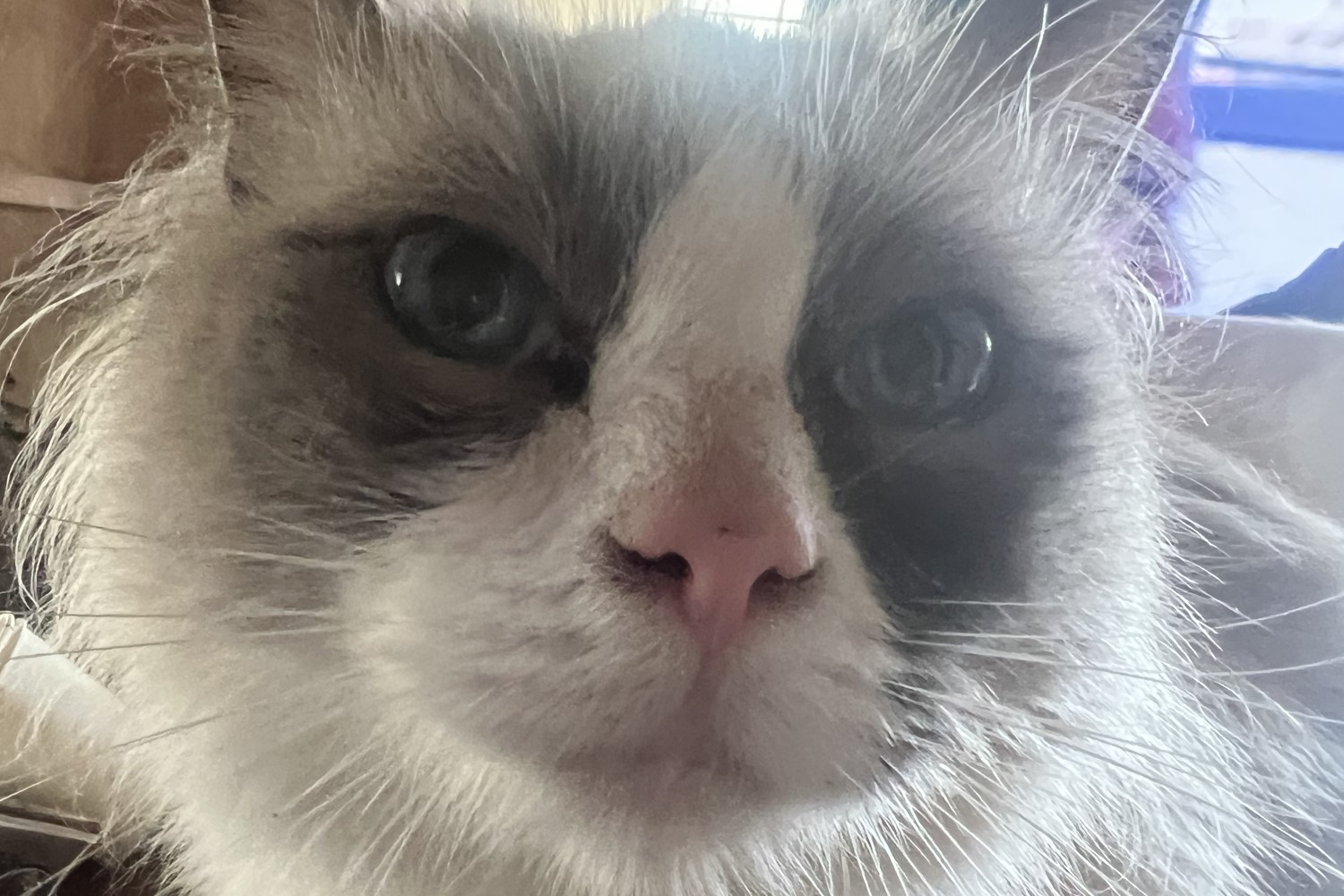 ポーチカの美しい瞬間1