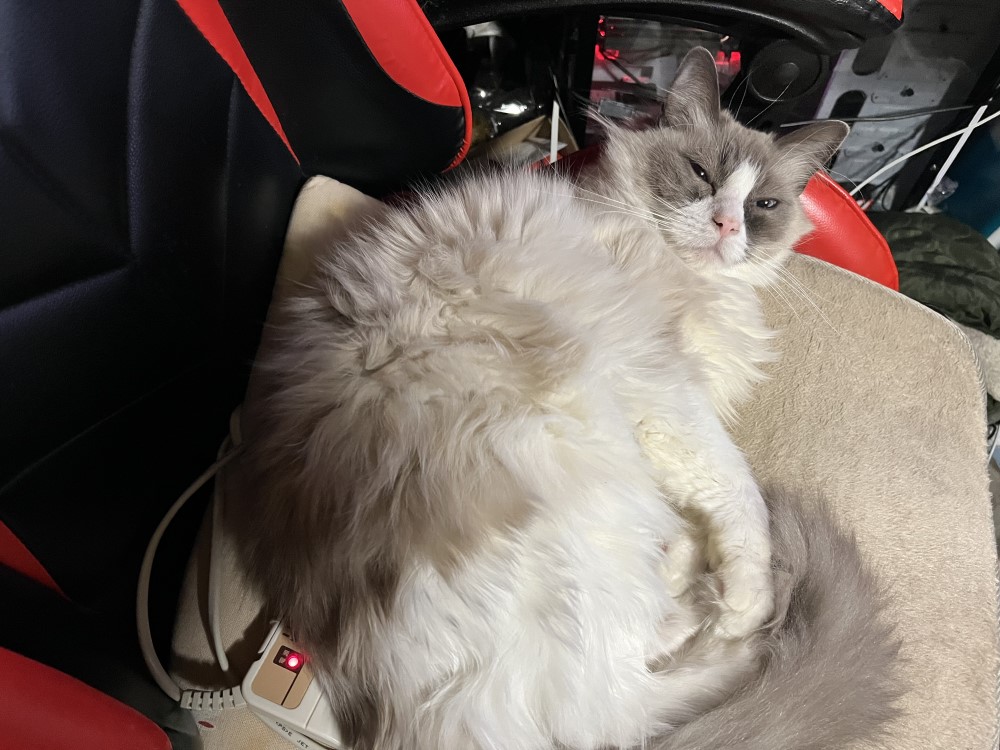 ポーチカの美しい瞬間2