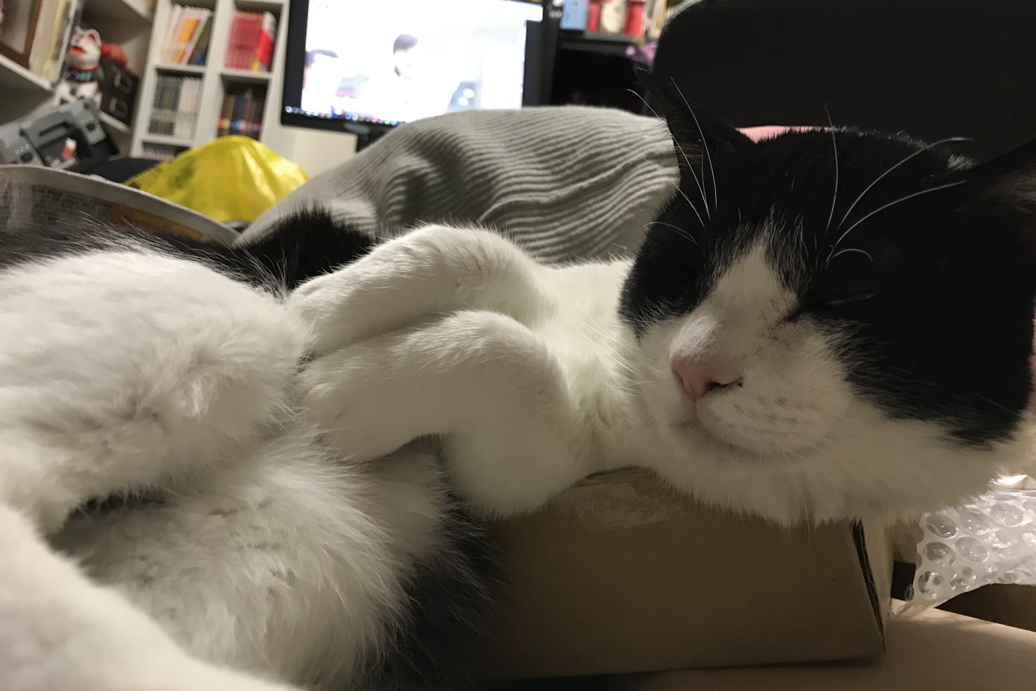 しーちゃんの威厳4