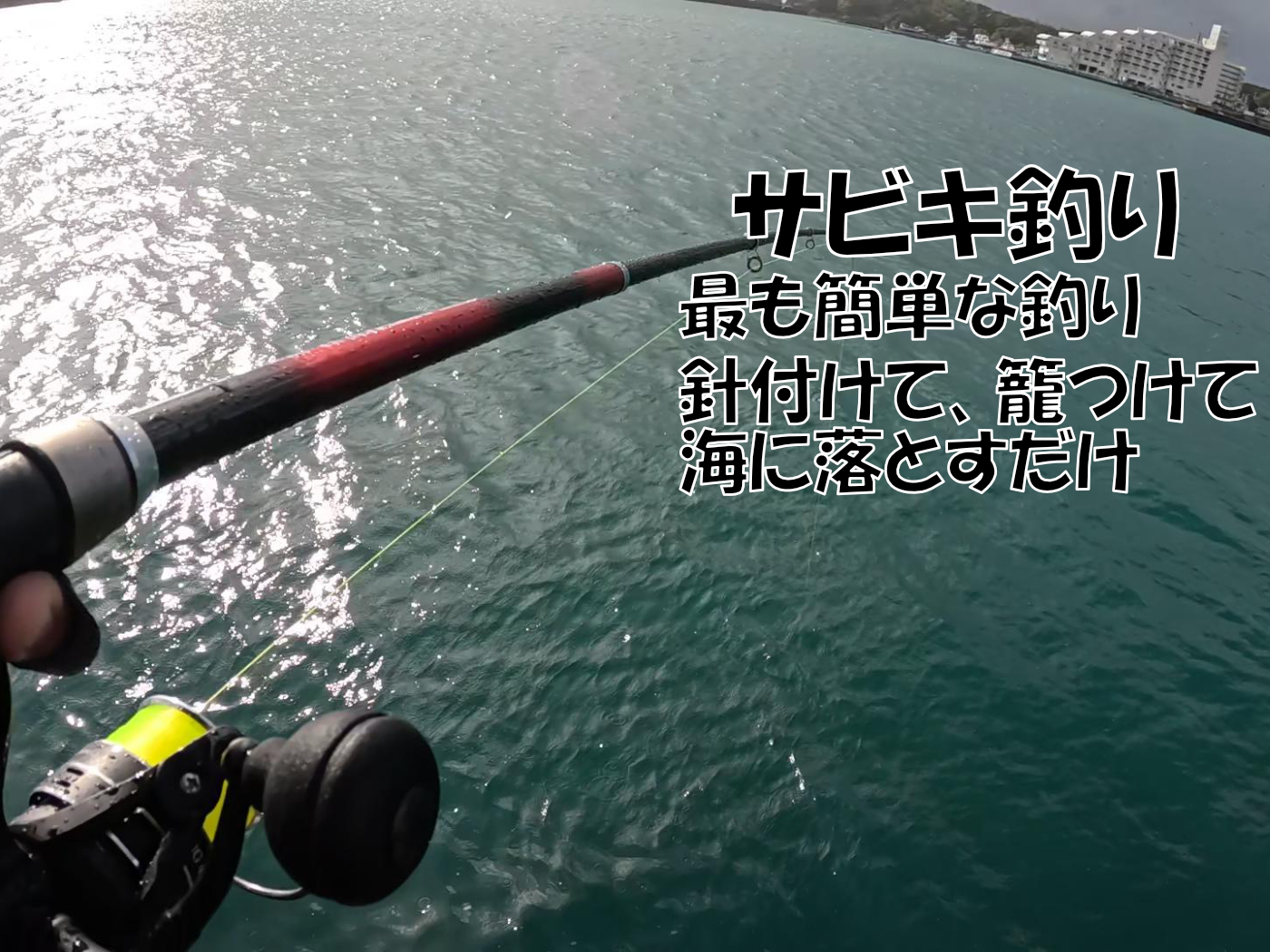 サビキ釣り開始