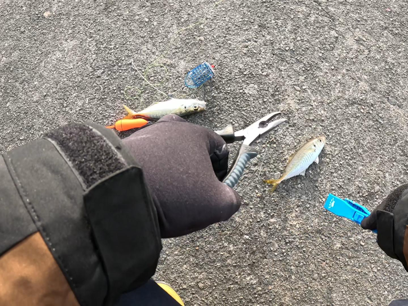 二匹同時ヒット