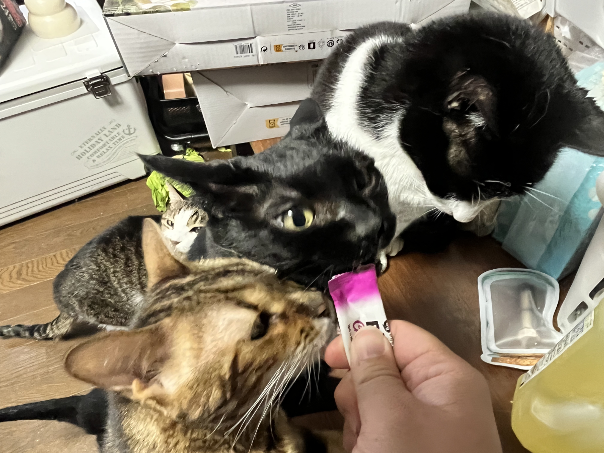 しーちゃんは微妙