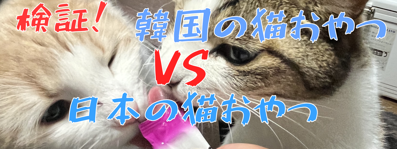 猫韓国おやつ企画 日本の猫おやつVS韓国の猫おやつ