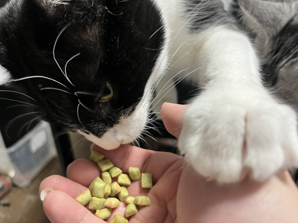 うーちゃんの勢い