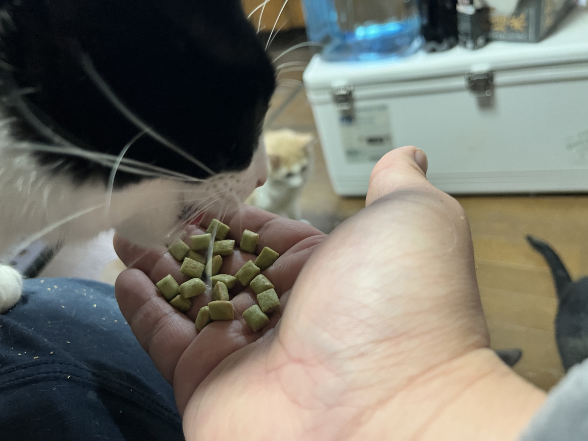 しーちゃんも満足