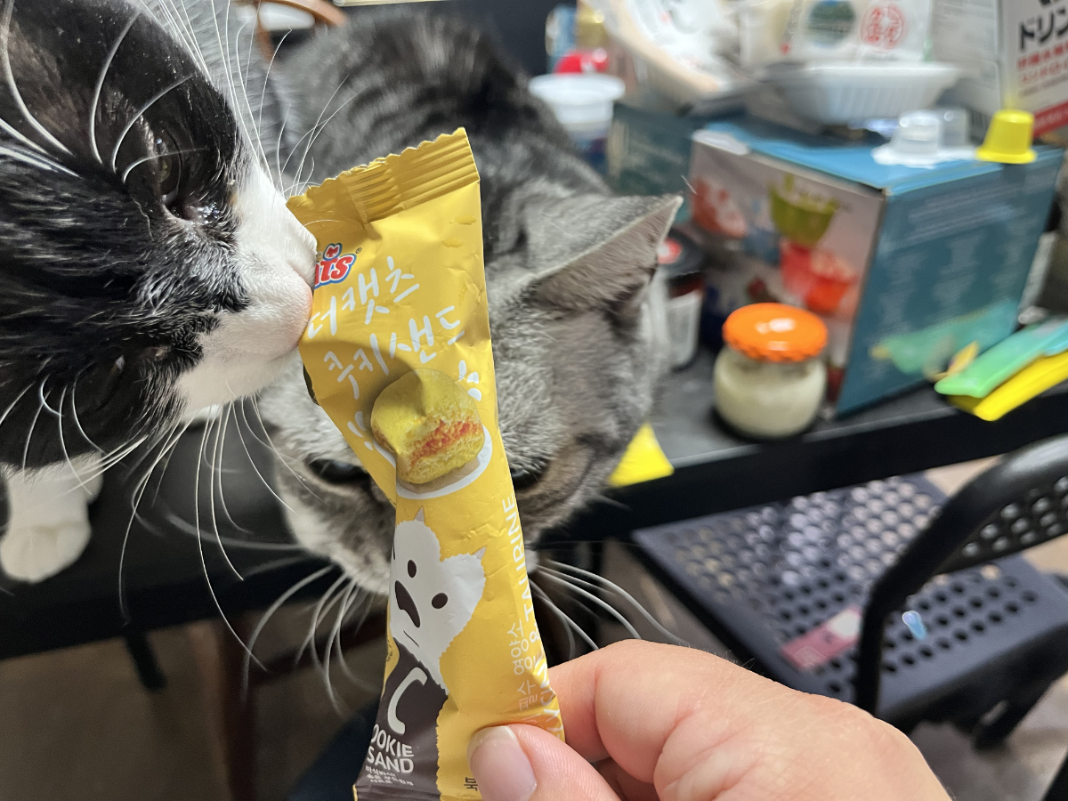 黄色のカリカリ