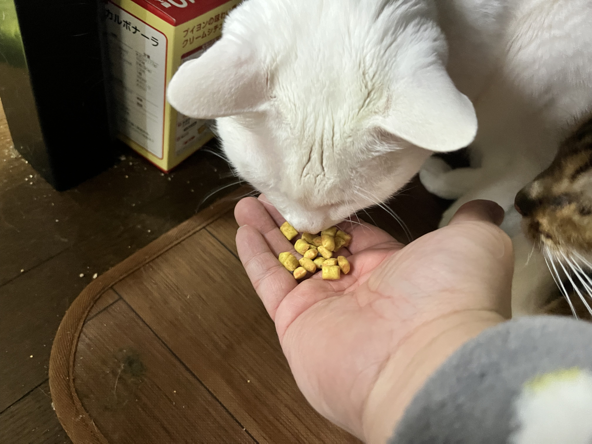 色分けされたカリカリ