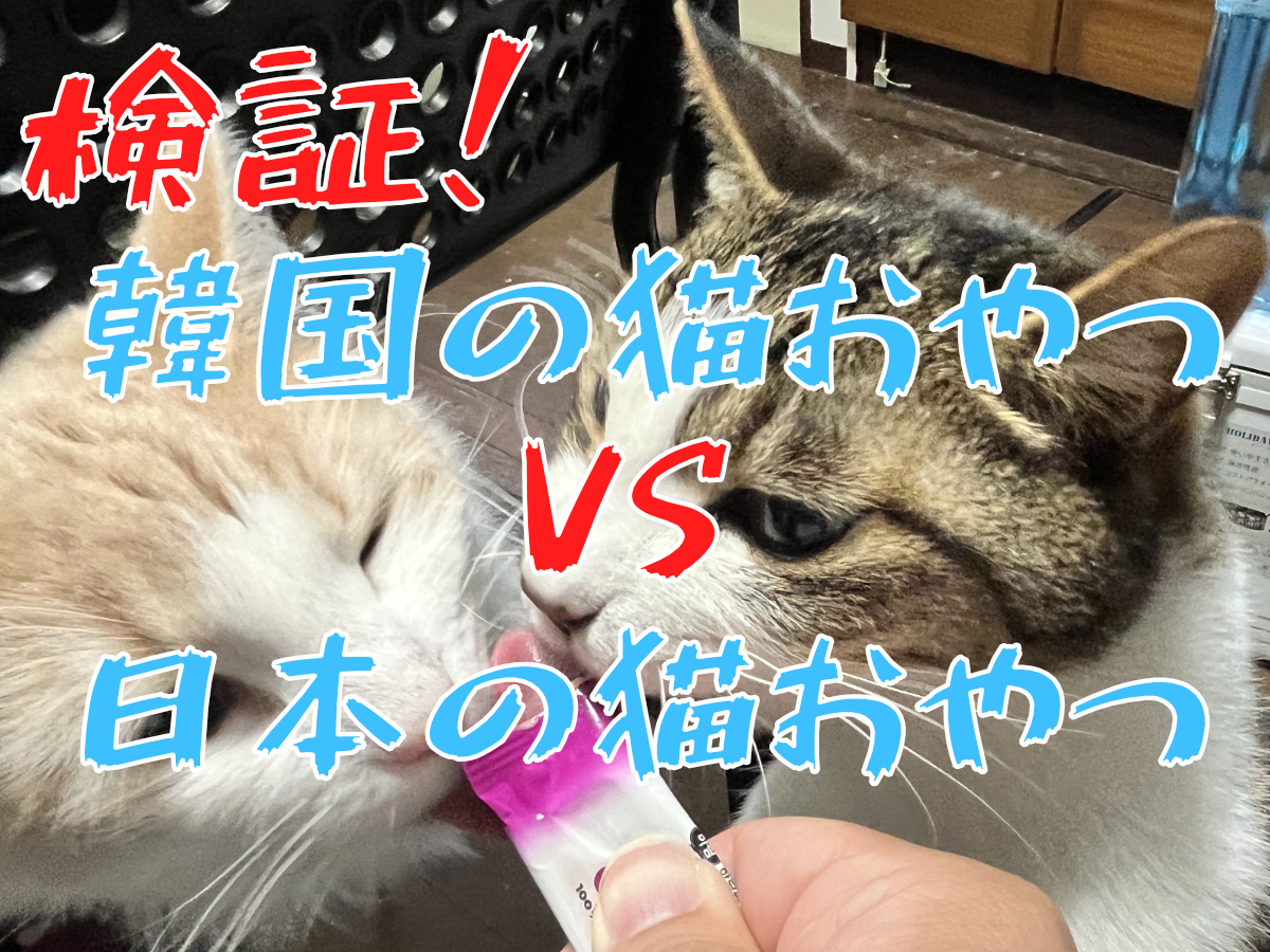 猫の記事