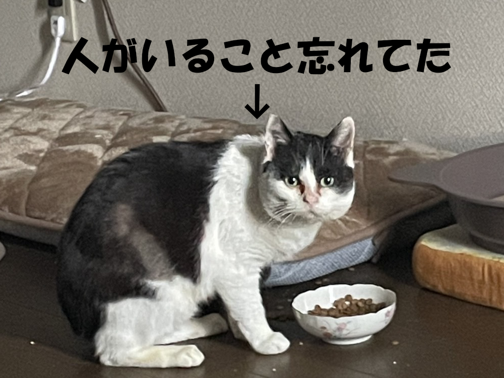 人がいても活動