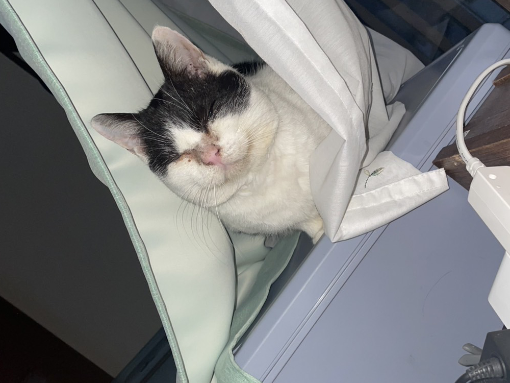 電気をつけてほしい