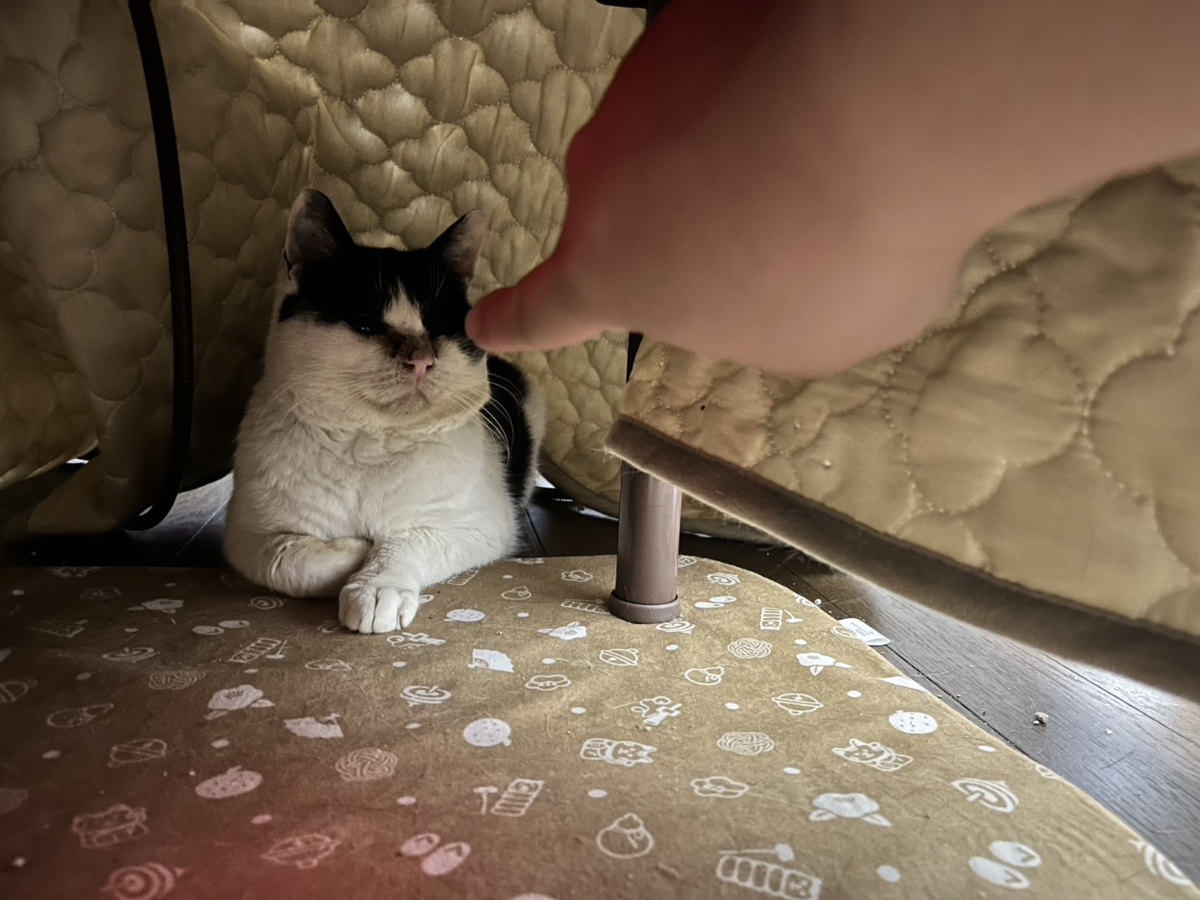 ふくいちがすんすんしてくれた瞬間