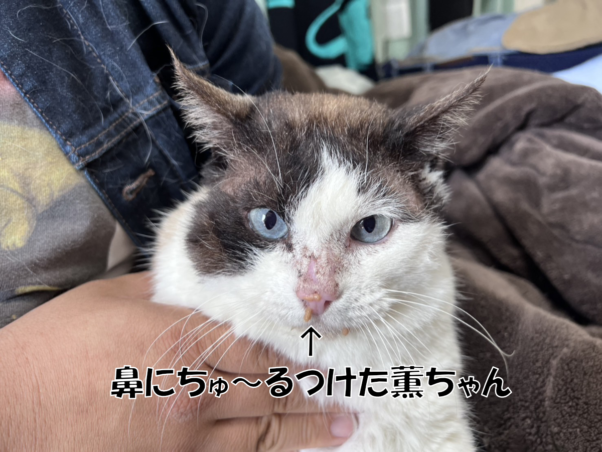 キーボード事件