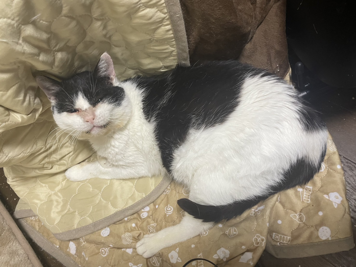 甘えん坊になったふくいち