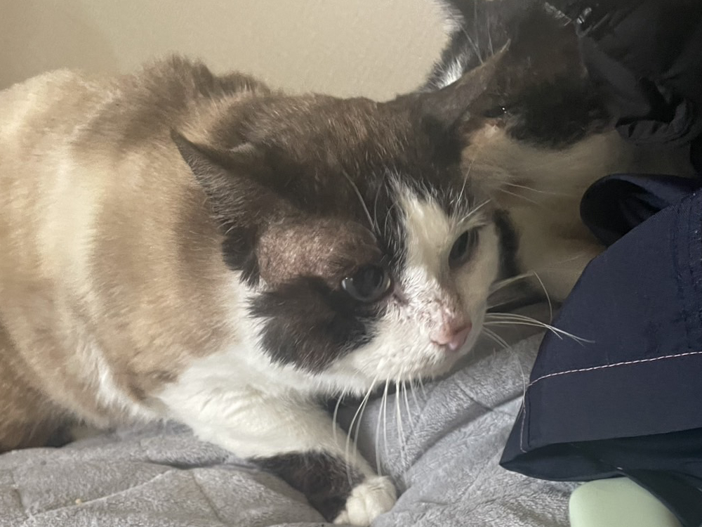 診察中の薫ちゃん