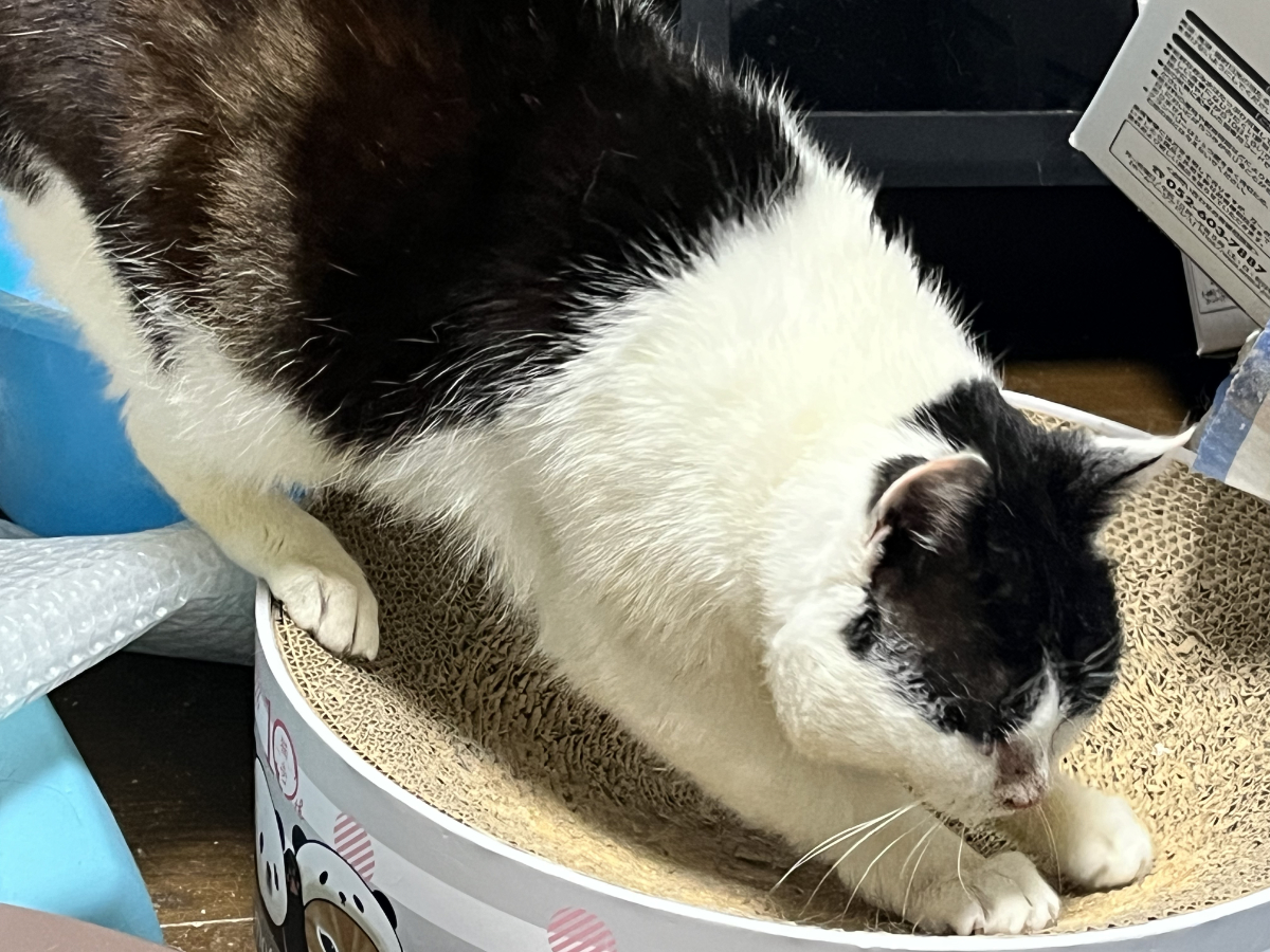 近づいてくるふくいち