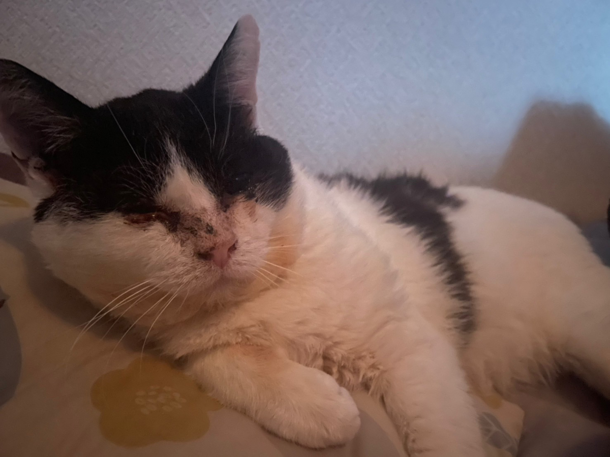 ふくいちとの交流