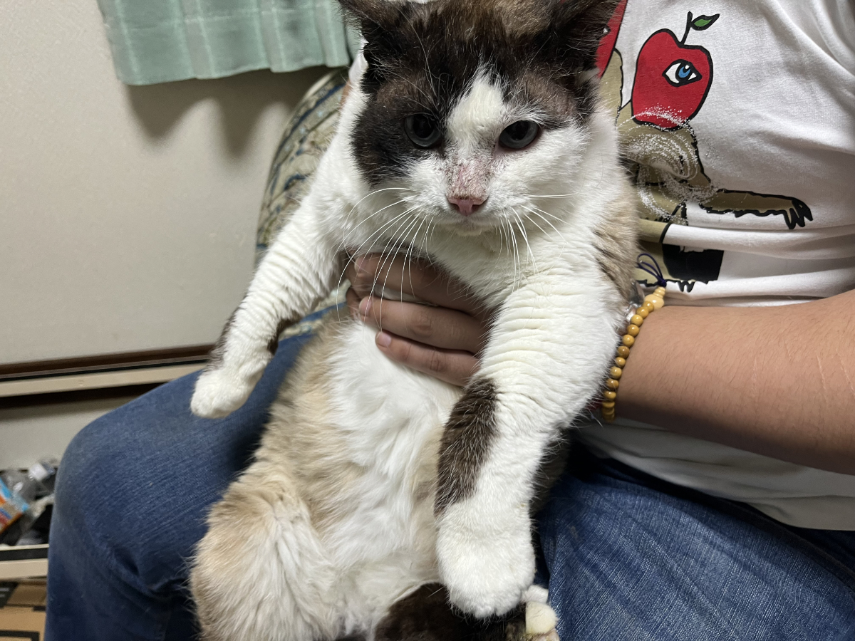 薫ちゃんの進歩