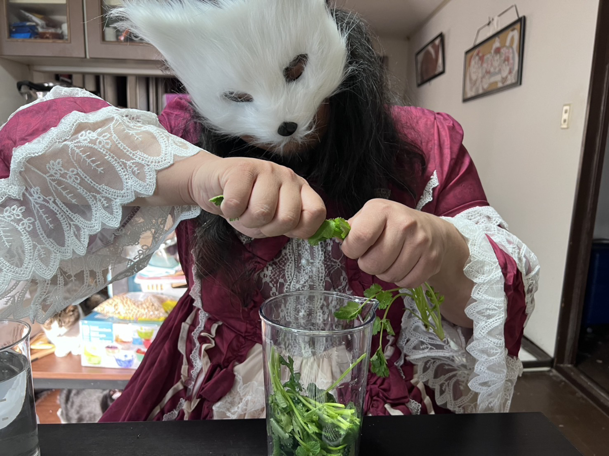 コリアンダー準備