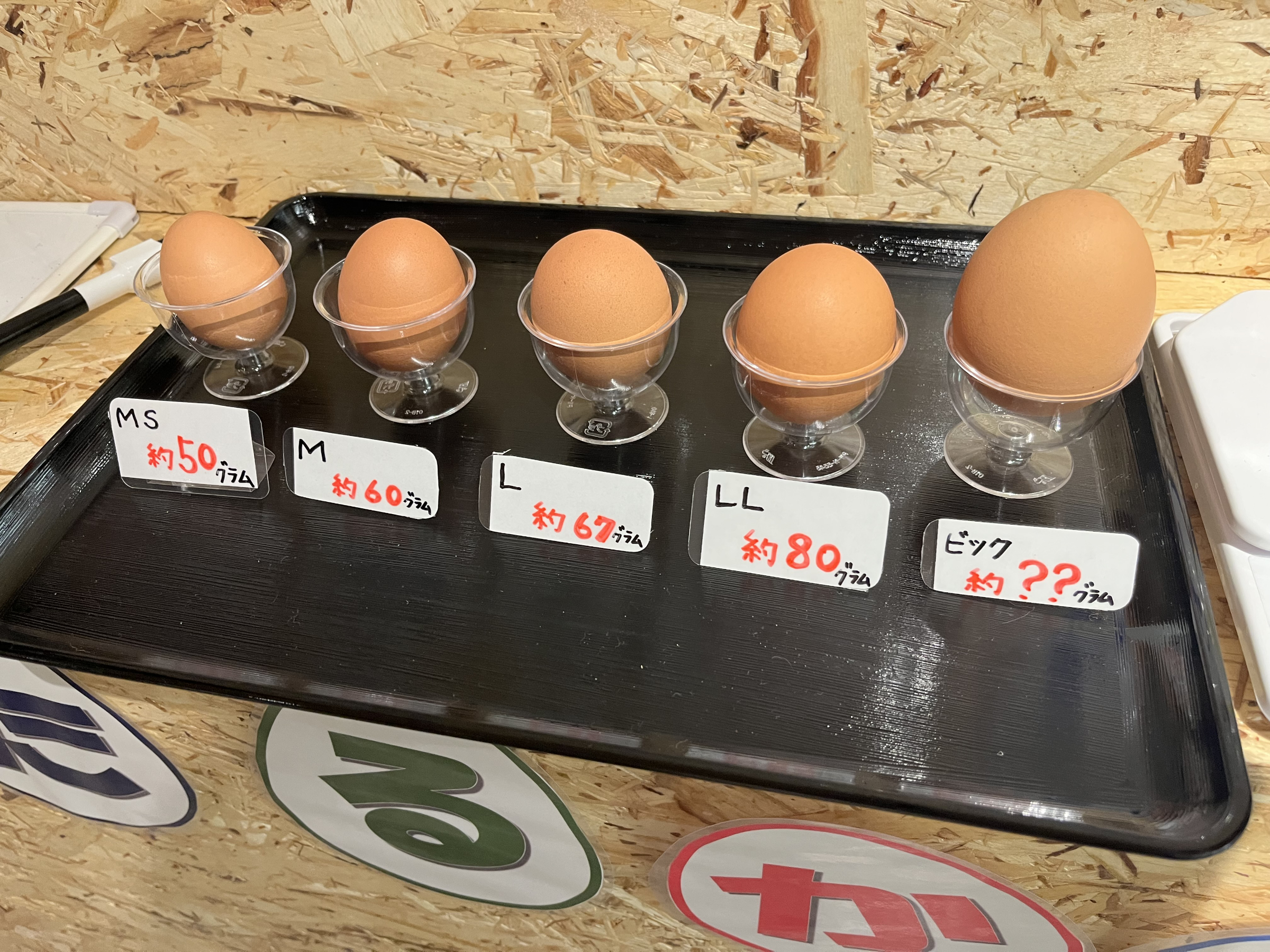 卵の重さ当てゲーム
