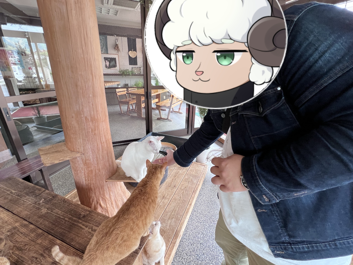 猫に群がられる