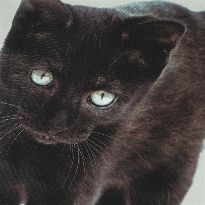 ネコ柄ショッピングバッグ(黒猫) サムネイル 3